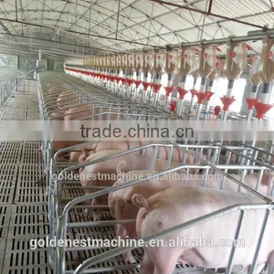 Goldenest Piggery Gestation Crate for Pigs Galvanized Single Stall for Sows thumbnail-2