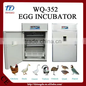 Hot Selling Wants Ostrich Chicks Incubators With CE Certificate thumbnail-1