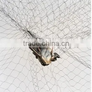 PE Nets Anti Bird Netting(Extruded) thumbnail-4