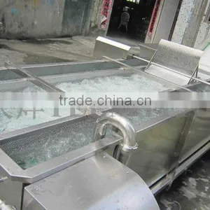 TW-307L Hot Sale Vegetable Washing Machine/ Fruit Washer/Vegetable Cleaning Machine thumbnail-4