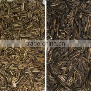 Good Performance Ccd Sunflower Seed Color Sorter Machine in China thumbnail-4