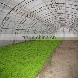 Agricultral Transparent Hdpe uv Resistant Plastic Film for Greenhouse thumbnail-3
