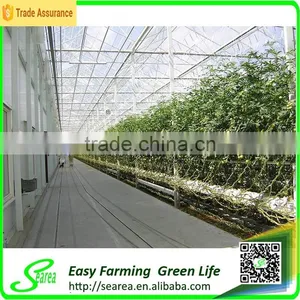 Natural Color Aluminium Profiles Greenhouse for Agricultural thumbnail-3