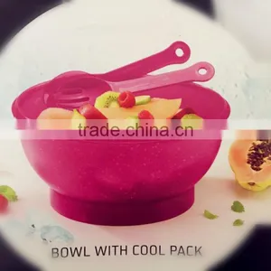 Food Grade Salad to go With Freezer Block thumbnail-3
