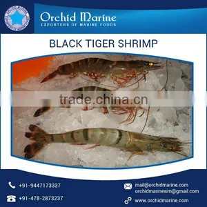 Wholesale Distributor of Natural and Organic Black Tiger Shrimps for Bulk Supply thumbnail-1