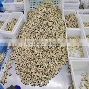 Frozen Vacuumed Baby Clam Cheap Pirce For Sale thumbnail-2