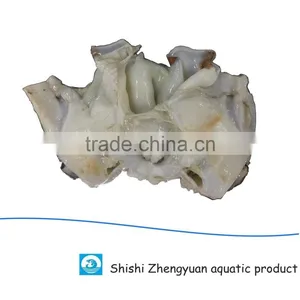 Frozen Giant Peru Fillet Squid Neck Size 500+ on Sale thumbnail-1