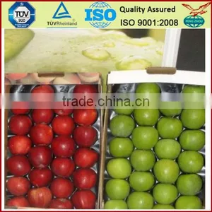Blister Tray Plastic Tray thumbnail-2