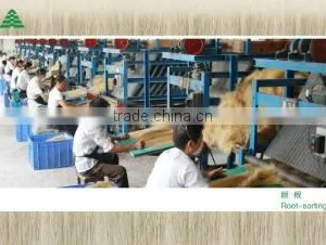 Jinshi Jinxiang Bristles Industrial Co., Ltd. company overview - view 1 thumbnail