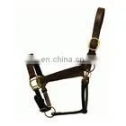 Leather Halter Gold Fittings. thumbnail-1