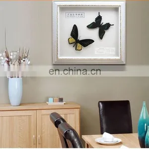Dry Framed Butterfly Frame Wholesale LOW MOQ Good Quality thumbnail-6