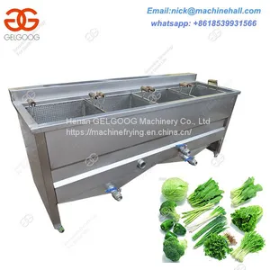 Industrial Vegetable Blanching Machine/Easy Operate Potato Chips Blanching Machine thumbnail-1