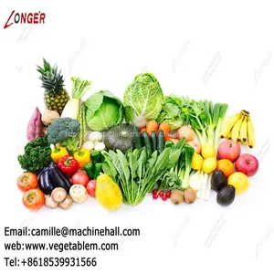 Fruit and Vegetable Washing Machine Manufacture|Tomato Washer|Spinach Cleaning Machine thumbnail-5