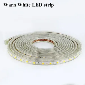 220V 60leds/m IP67 Waterproof Led Light Strip SMD5050 1 Meter Flexible Led Strip Light Christmas Party Led Flexible Tape thumbnail-2