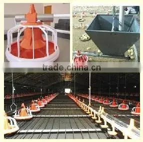Manufacture OfAutomatic High Quality Low Price Chicken Feeders thumbnail-5