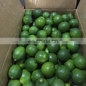Fresh Lime/ Seedless Lime thumbnail-1