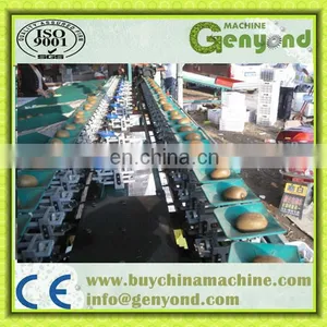 Big Out Onion Sorting Machine thumbnail-2