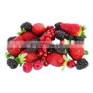 Complete Concentration Strawberry Paste Making Machines thumbnail-1