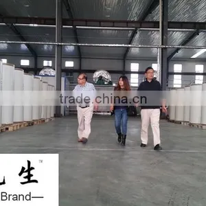 China Fiber Glass Mat Factory/E-glass Fiber Mat/Fiberglass Mat 80g * thumbnail-6