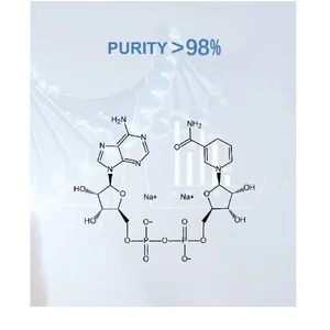 NADH β-Nicotinamide Adenine Dinucleotide Disodium Salt thumbnail-3