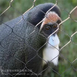 SS 304/316 Stainless Steel Cable Mesh for Zoo, Aviary & Safety Fencing Applications thumbnail-4