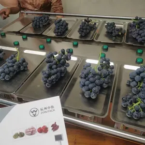 Manual 12 Heads 14 Heads Multihead Combination Scale Grape Fruit Weighing Scale thumbnail-4