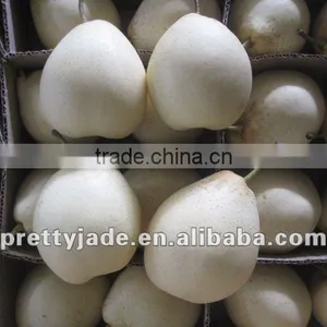 Chinese New Crop ya Pear thumbnail-1