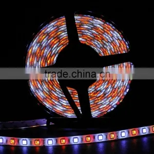 Fullbell Hotsell Smd Led DC 24volt Input Home Theater Wall Lighting thumbnail-1