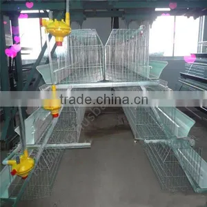 Chicken Broiler /cock Cage With Automatic Poultry Equipment thumbnail-1