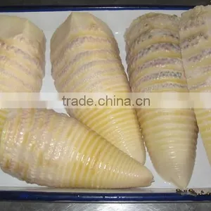 Canned Bamboo Shoot With High Quality thumbnail-4