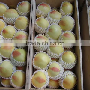 Fully-automatic Foamed New Epe Foam Fruit Net Extruder thumbnail-6