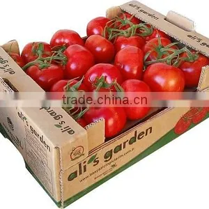 Tomato thumbnail-5