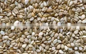 Natural Sesame Seed thumbnail-3