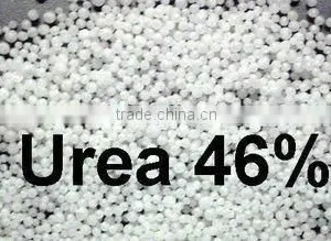 Tradeplus Llc company overview - view 1 thumbnail