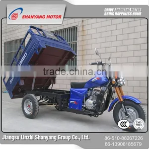 Hot Selling Cargo Trike Gas Motorized Tricycle thumbnail-1