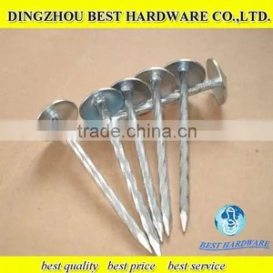Galvanied Corrugated Roofing Nails Factory thumbnail-1