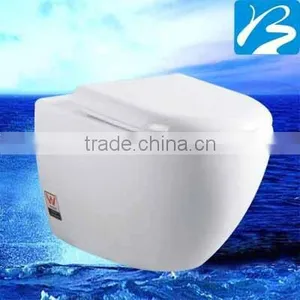 Ceramic WaterMark Wall-hung Toilet thumbnail-1