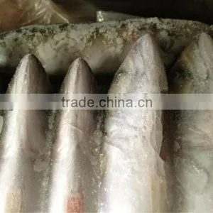 Frozen Whole Round Mackerel Size 200-300g/pcs for Sale thumbnail-3