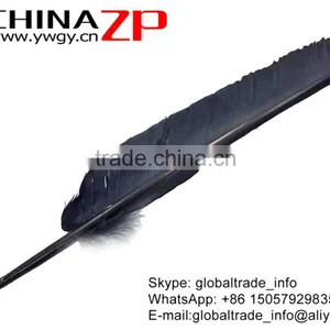 CHINAZP New Arrival Plumage Crafts Factory Dyed Grey Turkey Pointers Quill Large Feathers for Sale thumbnail-4