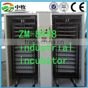 High Quality Multifunctional Egg Incubator for Sale thumbnail-3