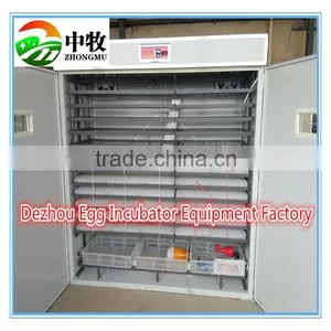 ZM-5280 Egg Incubator /Good Quality Solar Powered Egg Incubators/hatcher thumbnail-3