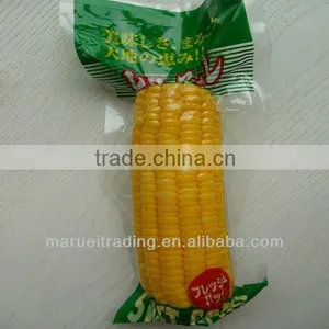 Sweet Corn thumbnail-1