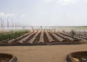 Vsv Service Trading Company Limited company overview - view 2 thumbnail