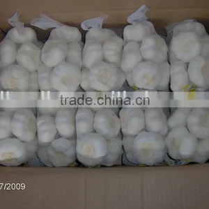 Super Pure White Garlic thumbnail-1