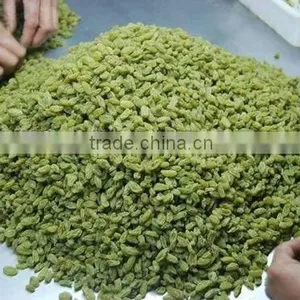 Sweet Xinjiang Sun Dried Green Raisin thumbnail-1