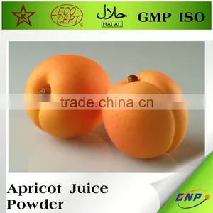 Dried Fruit Dry Apricot Powder thumbnail-1
