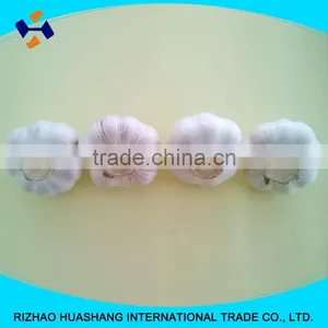Red Garlic Size5.0cm thumbnail-5