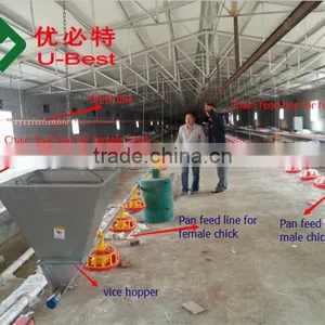 Popular Chicken Automatic Feeder and Drinker for Broiler Parent Breeder thumbnail-2