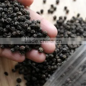 Best Quality Dried Black Pepper 570G/L thumbnail-4