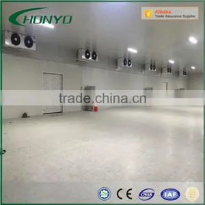 Large Capacity The Pu Panels Modular Walk In Air Blast Fast Deep Freezer Room For Meat Fish thumbnail-1